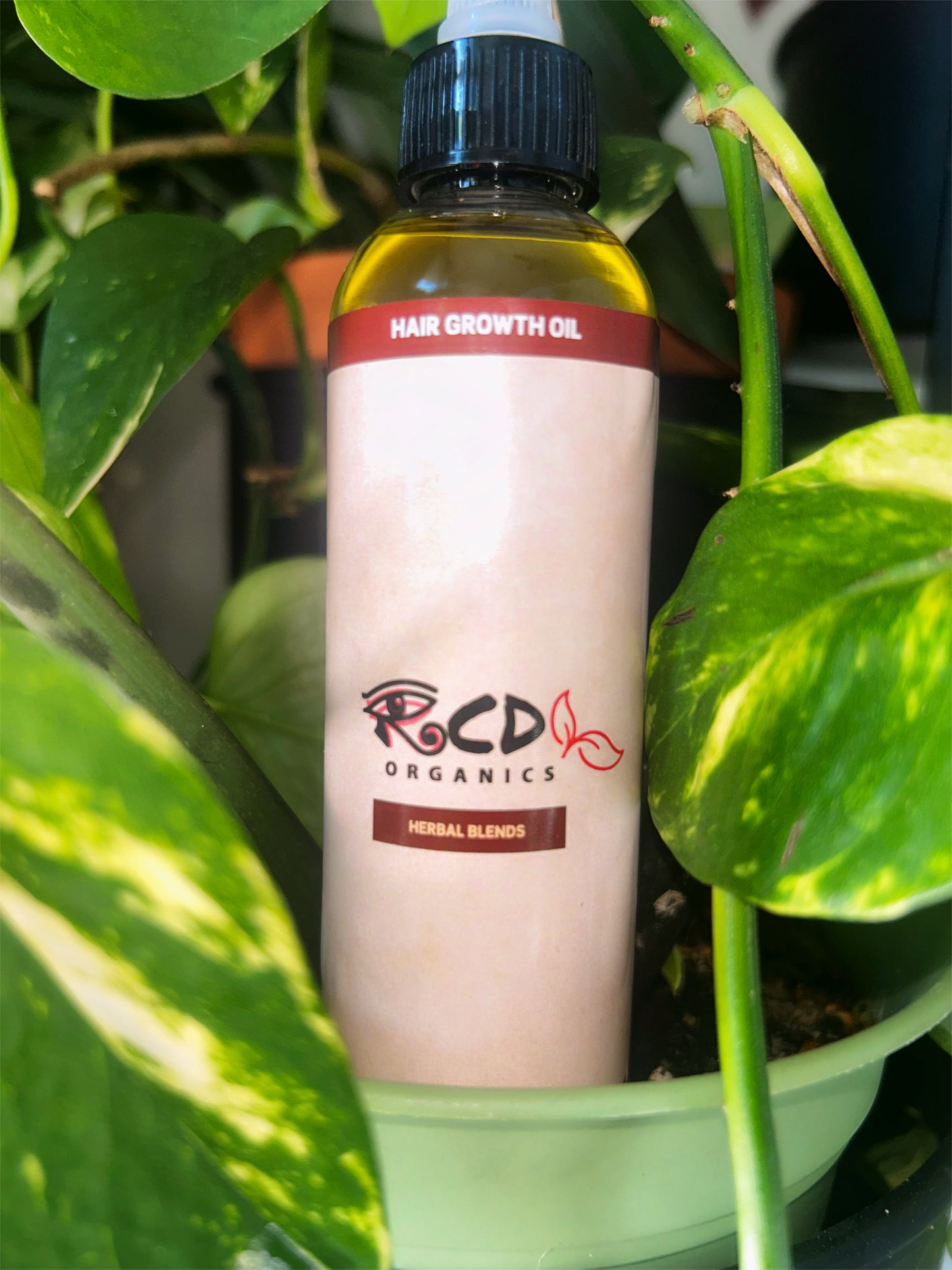 Organic Hair Growth Oil